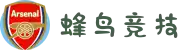 蜂鸟竞技官网 - 最佳电子竞技比分平台 - 电竞赛事直播，玩家社区